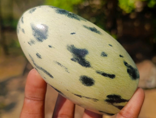 Polished Leopard Stone Standing Display Pieces x 6 From Zimbabwe - Toprock Gemstones and Minerals 