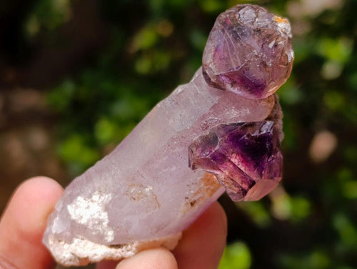 Natural Skeletal Smokey Window Amethyst Crystals x 24 From Chiredzi, Zimbabwe - Toprock Gemstones and Minerals 
