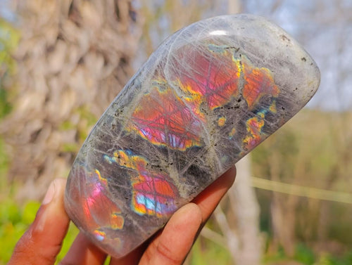 Polished Rare Purple Sunset Flash Labradorite Standing Display Pieces x 2 From Madagascar - Toprock Gemstones and Minerals 