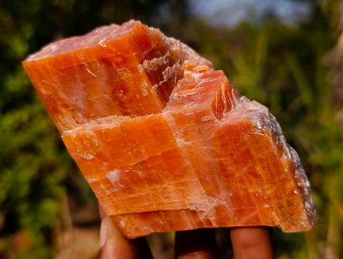 Natural Rhombohedral Sunset Orange Calcite Specimens x 12 From Spitzkop, Namibia - Toprock Gemstones and Minerals 