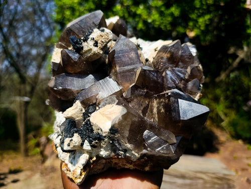 Natural Large Smokey Quartz Cluster with Associated Minerals x 1 From Erongo, Namibia - Toprock Gemstones and Minerals 