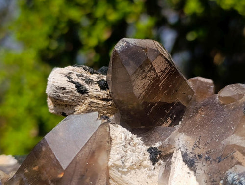 Natural Large Smokey Quartz Cluster with Associated Minerals x 1 From Erongo, Namibia - Toprock Gemstones and Minerals 