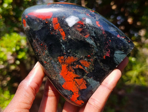 Polished Bloodstone Standing Display Pieces x 2 From Swaziland - Toprock Gemstones and Minerals 