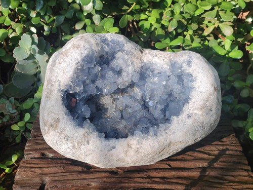 Natural XL Blue Celestite Geode Specimen x 1 From Sakoany, Madagascar - Toprock Gemstones and Minerals 