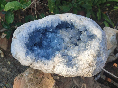 Natural XL Blue Celestite Geode Specimen x 1 From Sakoany, Madagascar - Toprock Gemstones and Minerals 