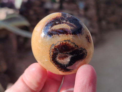 Polished Septerye Galets x 24 From Mahajanga, Madagascar - Toprock Gemstones and Minerals 