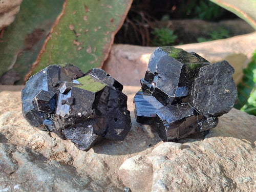 Natural Schorl Black Tourmaline Crystals x 12 From Erongo, Namibia - Toprock Gemstones and Minerals 