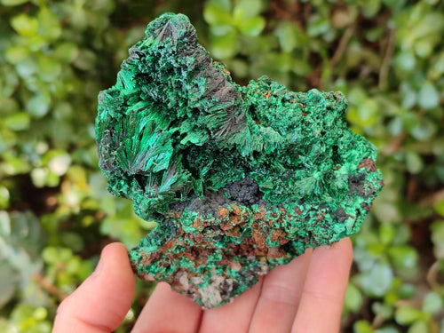 Natural Silky Malachite Specimens x 3 From Kasompe, Congo - Toprock Gemstones and Minerals 