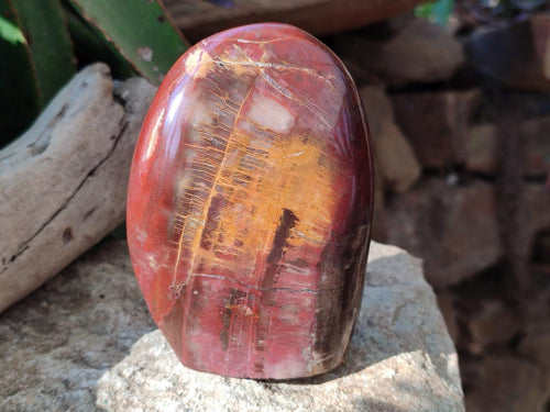Polished Red Podocarpus Petrified Wood Standing Display Pieces x 3 From Mahajanga, Madagascar - Toprock Gemstones and Minerals 