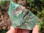 Natural Swazi Jade Cobbed Specimens x 12 From Swaziland - Toprock Gemstones and Minerals 
