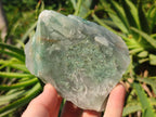 Natural Swazi Jade Cobbed Specimens x 12 From Swaziland - Toprock Gemstones and Minerals 