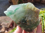 Natural Swazi Jade Cobbed Specimens x 12 From Swaziland - Toprock Gemstones and Minerals 