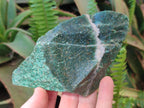 Natural Swazi Jade Cobbed Specimens x 12 From Swaziland - Toprock Gemstones and Minerals 