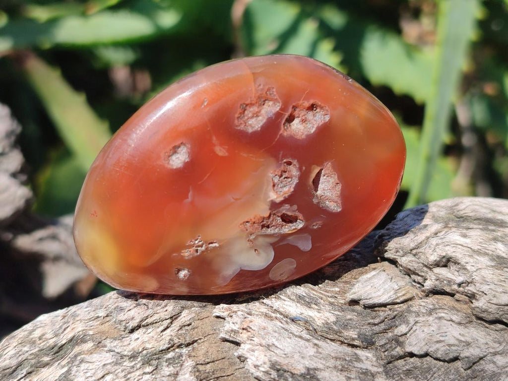 Polished Red Shashe River Agate Free Forms x 35 From Shashe River, Zimbabwe - Toprock Gemstones and Minerals 