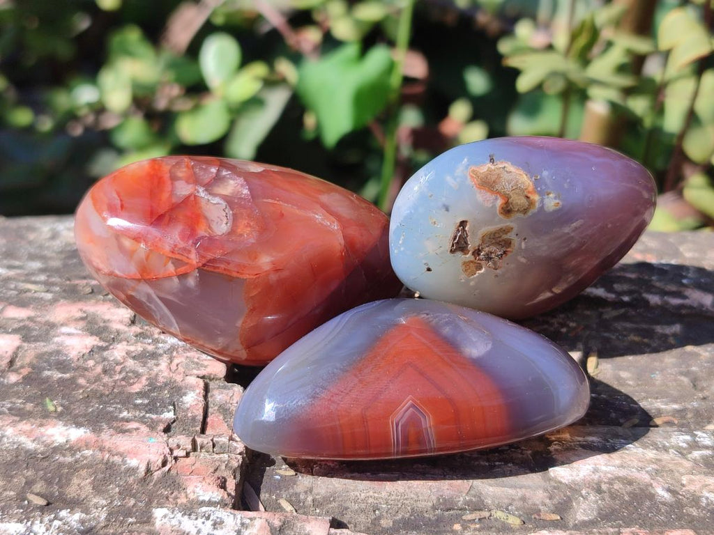 Polished Red Shashe River Agate Free Forms x 35 From Shashe River, Zimbabwe - Toprock Gemstones and Minerals 