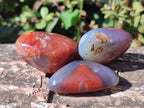 Polished Red Shashe River Agate Free Forms x 35 From Shashe River, Zimbabwe - Toprock Gemstones and Minerals 