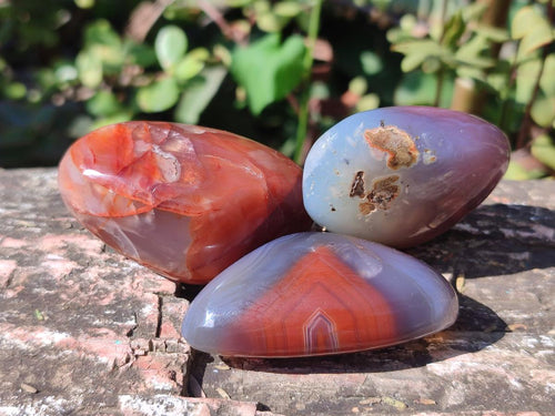 Polished Red Shashe River Agate Free Forms x 35 From Shashe River, Zimbabwe - Toprock Gemstones and Minerals 