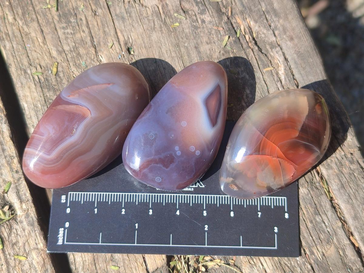 Polished Red Shashe River Agate Free Forms x 35 From Shashe River, Zimbabwe - Toprock Gemstones and Minerals 