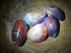 Polished Red Shashe River Agate Free Forms x 35 From Shashe River, Zimbabwe - Toprock Gemstones and Minerals 