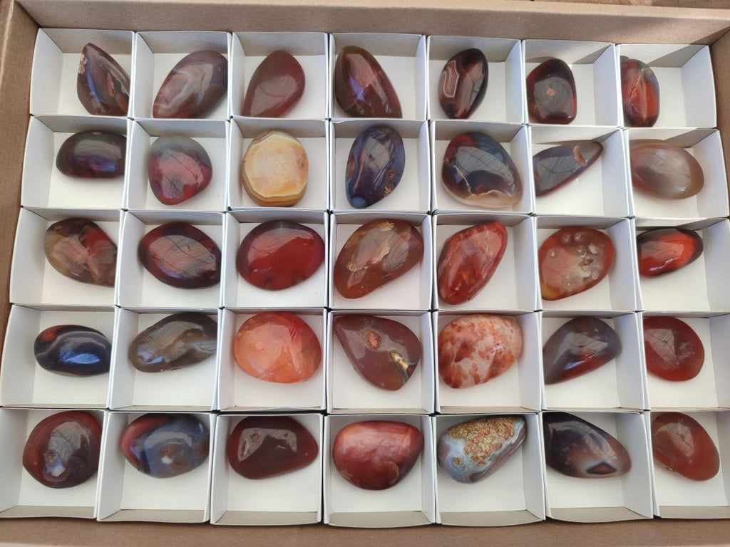 Polished Red Shashe River Agate Free Forms x 35 From Shashe River, Zimbabwe - Toprock Gemstones and Minerals 