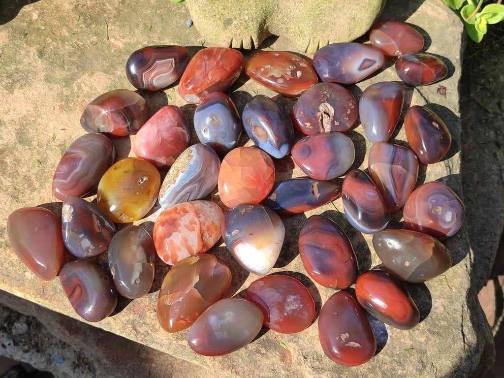 Polished Red Shashe River Agate Free Forms x 35 From Shashe River, Zimbabwe - Toprock Gemstones and Minerals 