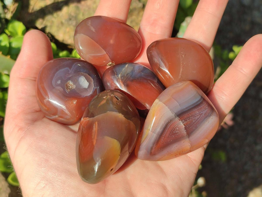 Polished Red Shashe River Agate Free Forms x 35 From Shashe River, Zimbabwe - Toprock Gemstones and Minerals 