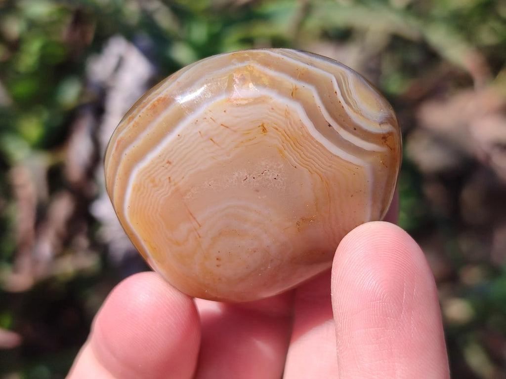 Polished Red Shashe River Agate Free Forms x 35 From Shashe River, Zimbabwe - Toprock Gemstones and Minerals 