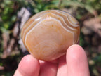 Polished Red Shashe River Agate Free Forms x 35 From Shashe River, Zimbabwe - Toprock Gemstones and Minerals 