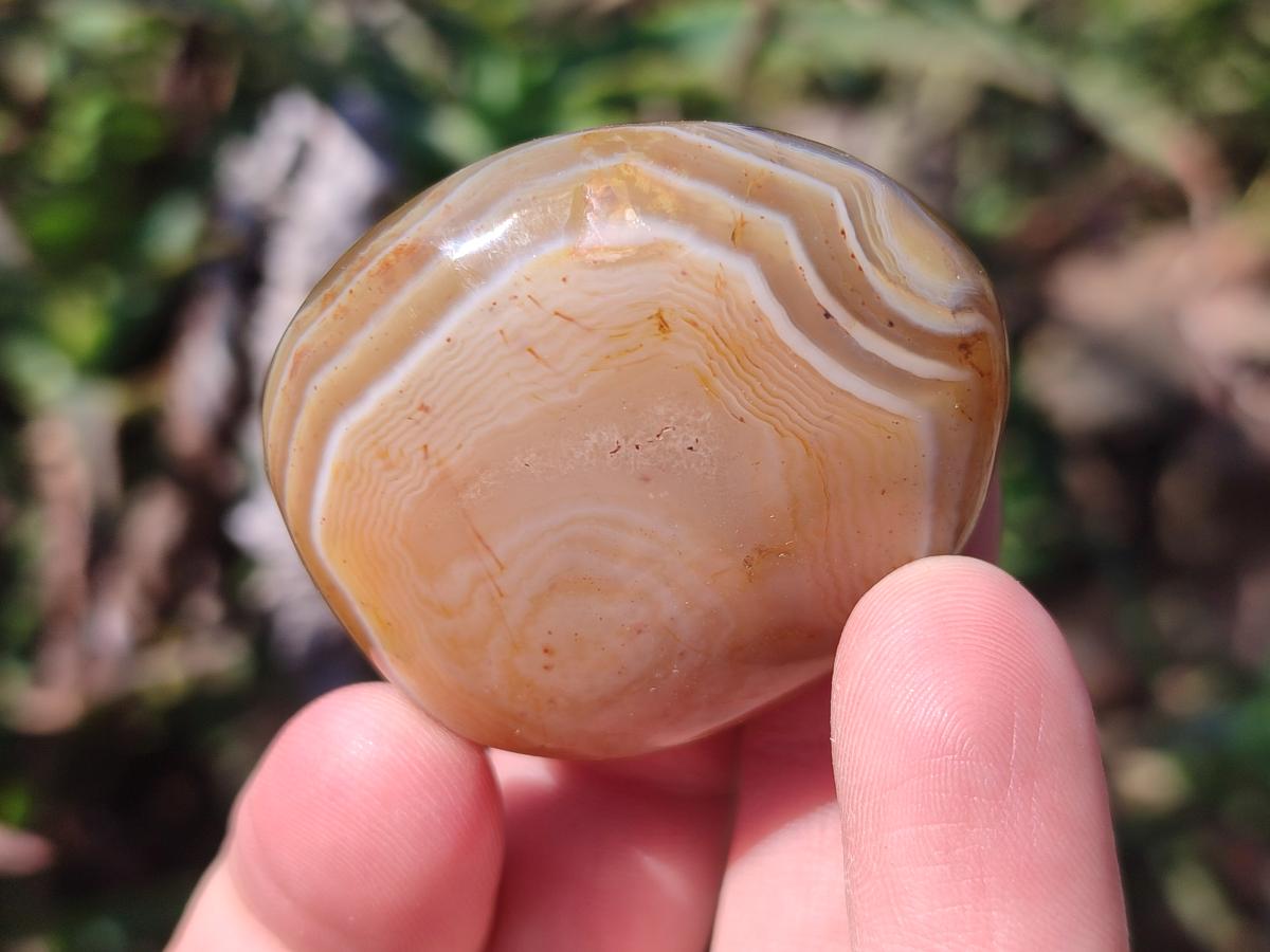 Polished Red Shashe River Agate Free Forms x 35 From Shashe River, Zimbabwe - Toprock Gemstones and Minerals 