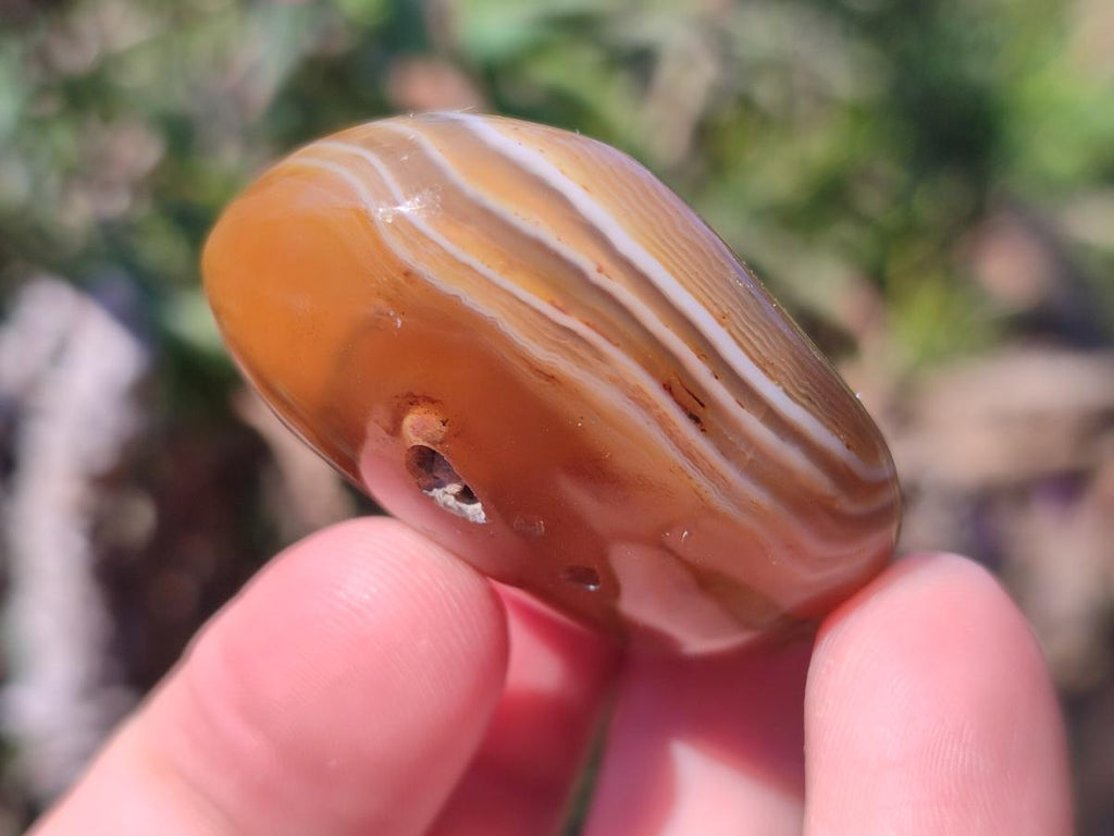 Polished Red Shashe River Agate Free Forms x 35 From Shashe River, Zimbabwe - Toprock Gemstones and Minerals 