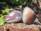 Polished Red Shashe River Agate Free Forms x 35 From Shashe River, Zimbabwe - Toprock Gemstones and Minerals 