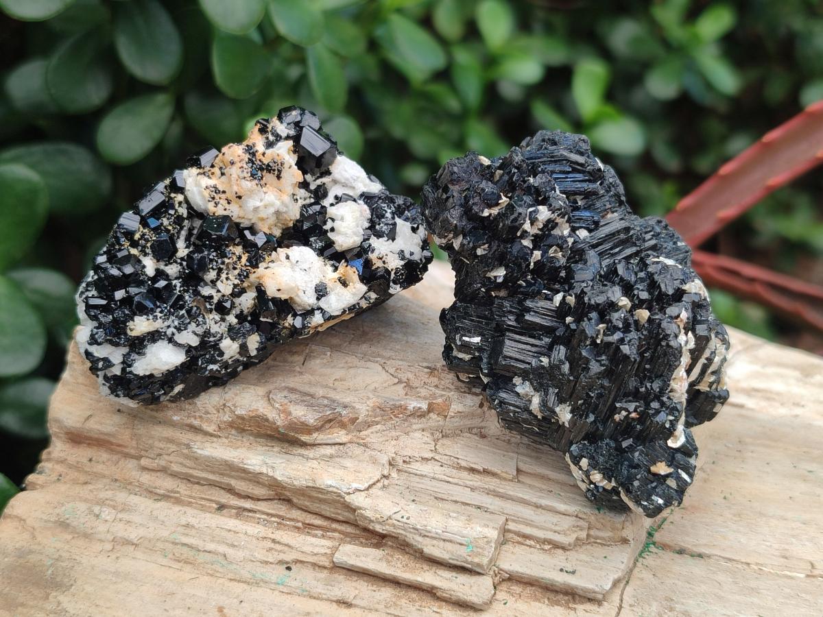 Natural Schorl Black Tourmaline with Associated Minerals x 36 From Erongo, Namibia - Toprock Gemstones and Minerals 