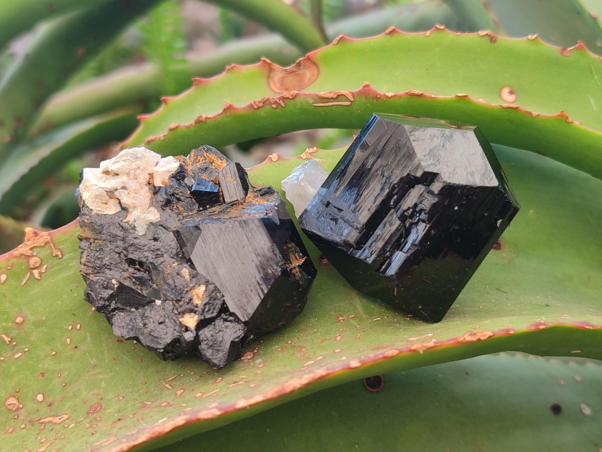 Natural Schorl Black Tourmaline with Associated Minerals x 36 From Erongo, Namibia - Toprock Gemstones and Minerals 