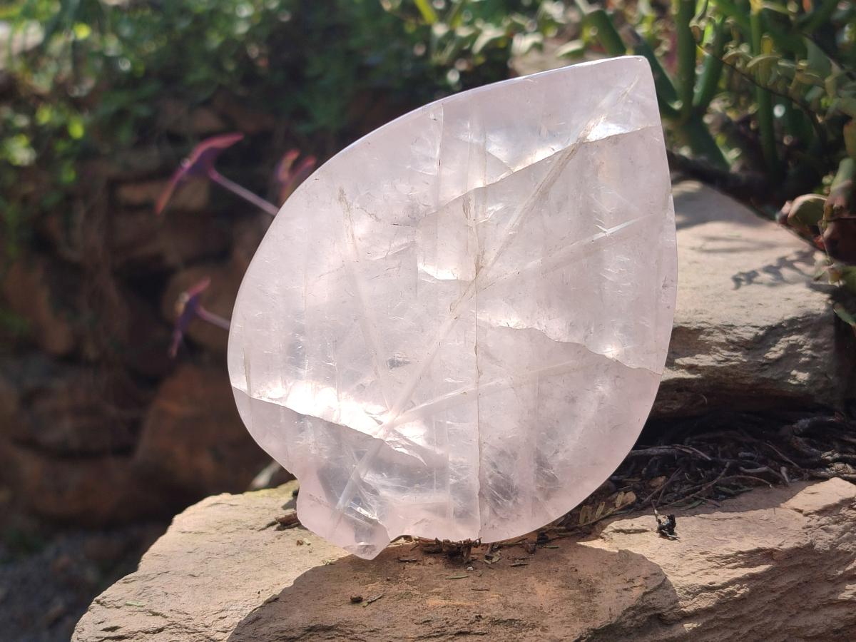 Hand Made Gemmy Rose Quartz Leaf Carvings x 4 From Madagascar - Toprock Gemstones and Minerals 