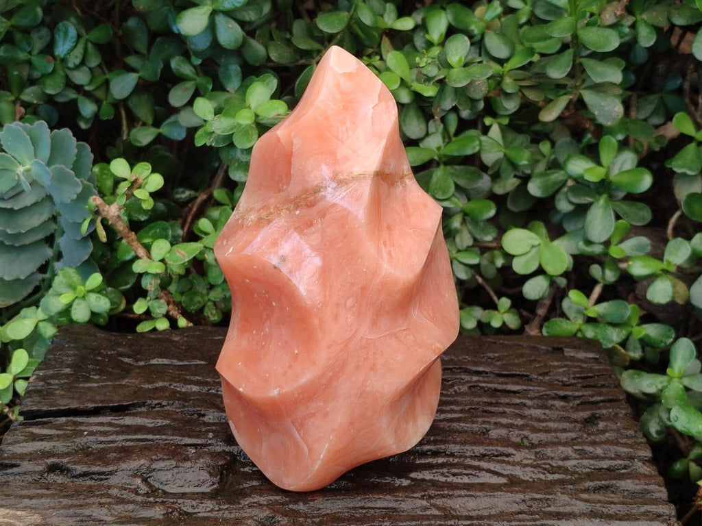 Polished XL Orange Twist Calcite Flame x 1 From Maevatanana, Madagascar - Toprock Gemstones and Minerals 
