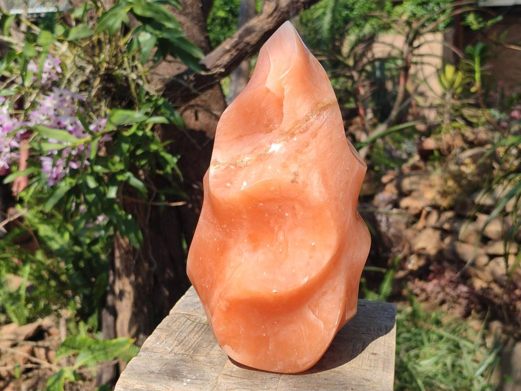 Polished XL Orange Twist Calcite Flame x 1 From Maevatanana, Madagascar - Toprock Gemstones and Minerals 