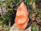 Polished XL Orange Twist Calcite Flame x 1 From Maevatanana, Madagascar - Toprock Gemstones and Minerals 