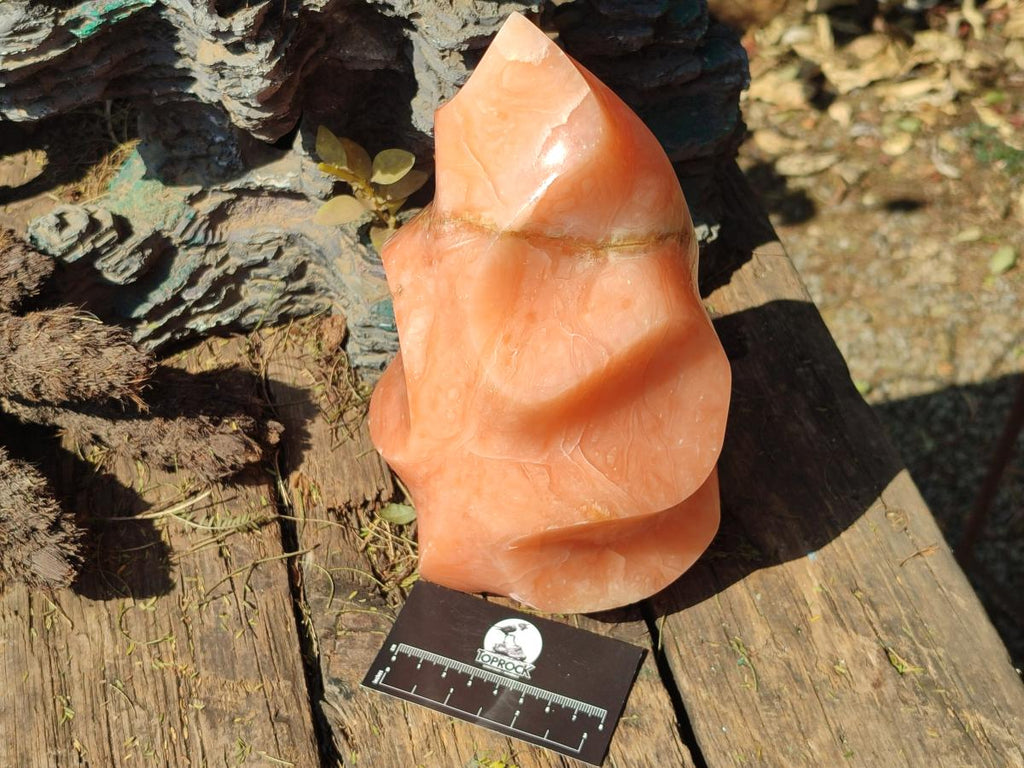 Polished XL Orange Twist Calcite Flame x 1 From Maevatanana, Madagascar - Toprock Gemstones and Minerals 