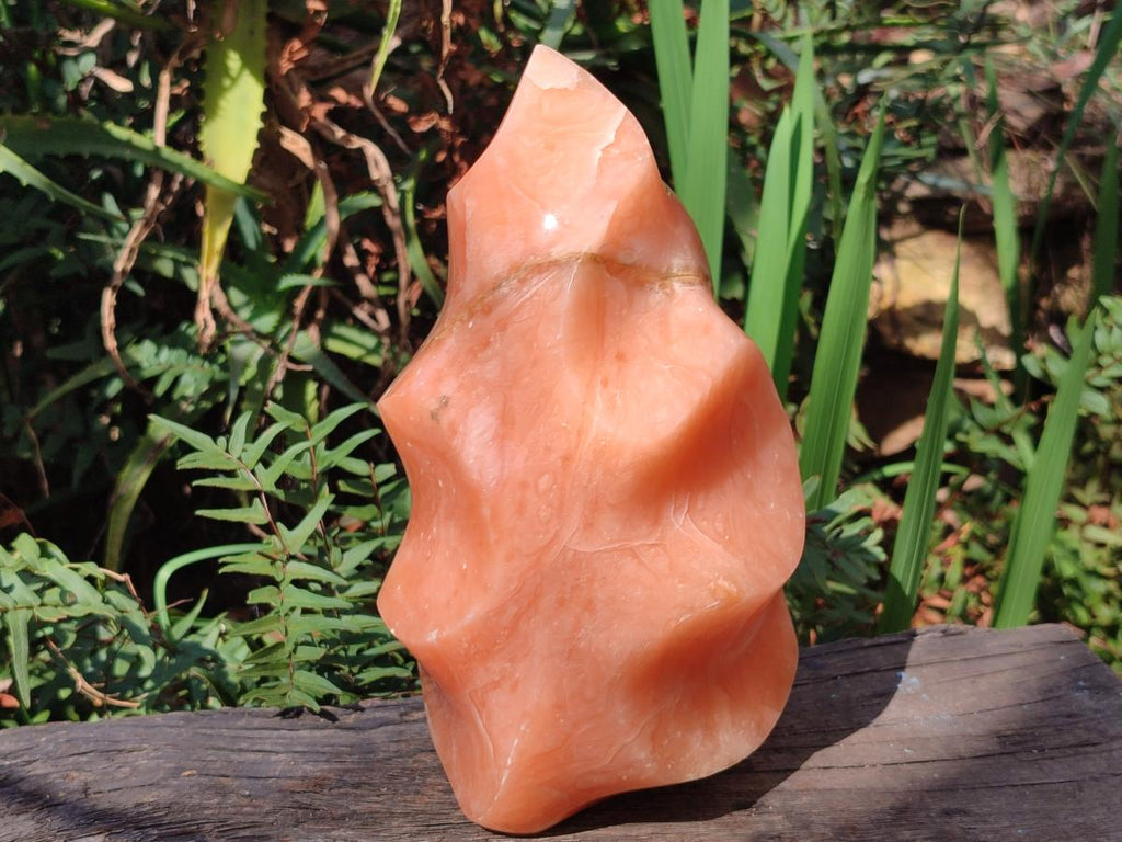 Polished XL Orange Twist Calcite Flame x 1 From Maevatanana, Madagascar - Toprock Gemstones and Minerals 