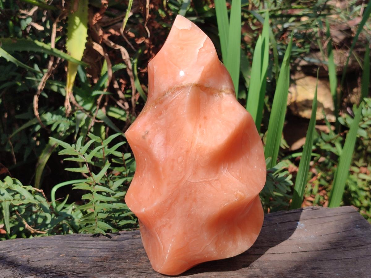Polished XL Orange Twist Calcite Flame x 1 From Maevatanana, Madagascar - Toprock Gemstones and Minerals 