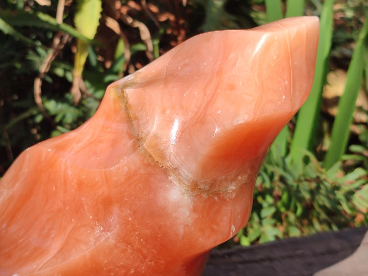 Polished XL Orange Twist Calcite Flame x 1 From Maevatanana, Madagascar - Toprock Gemstones and Minerals 