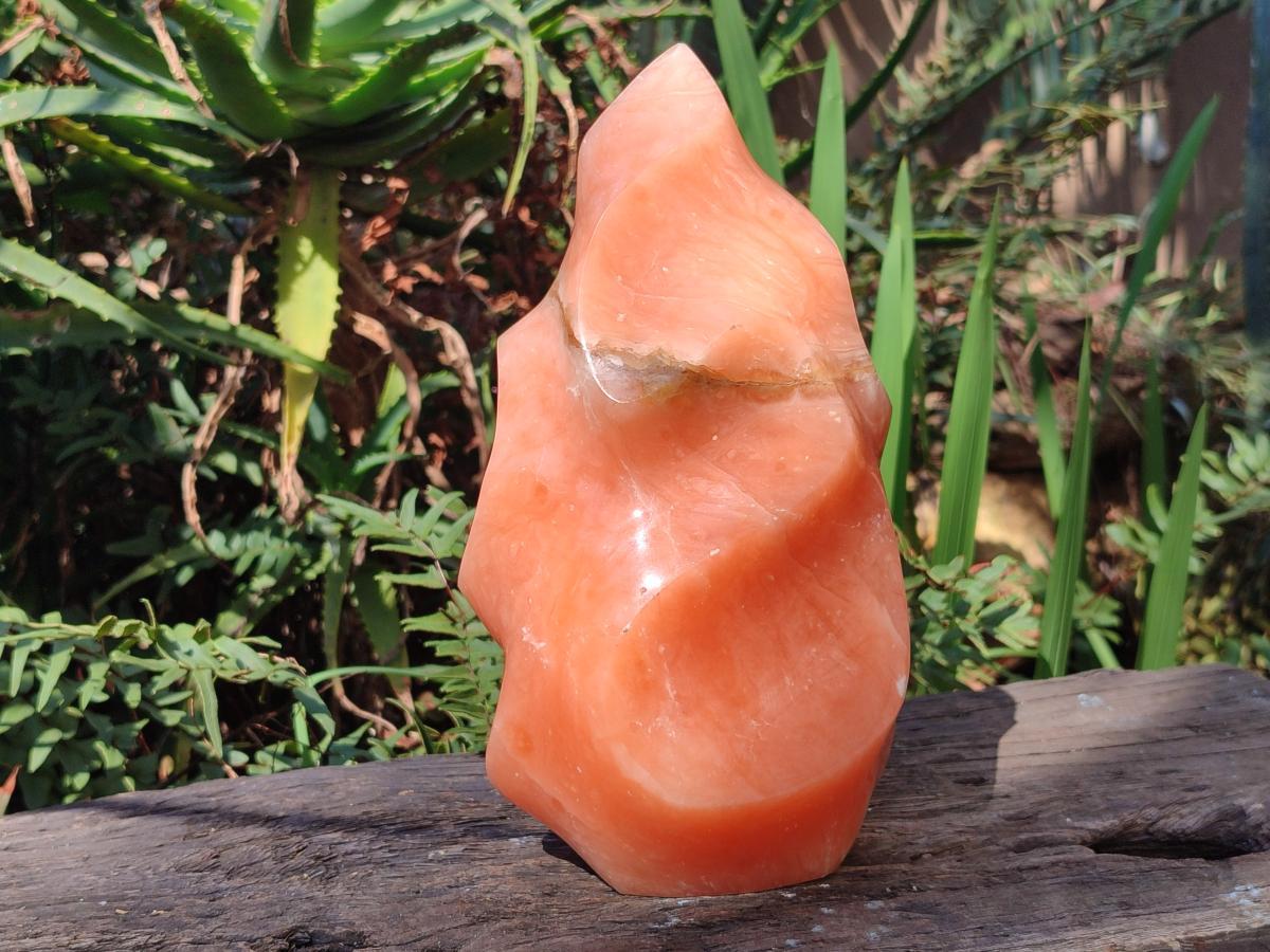 Polished XL Orange Twist Calcite Flame x 1 From Maevatanana, Madagascar - Toprock Gemstones and Minerals 