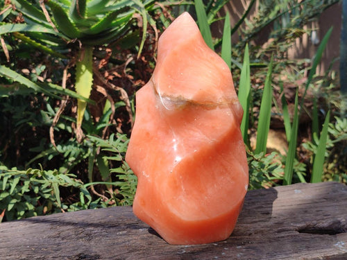 Polished XL Orange Twist Calcite Flame x 1 From Maevatanana, Madagascar - Toprock Gemstones and Minerals 