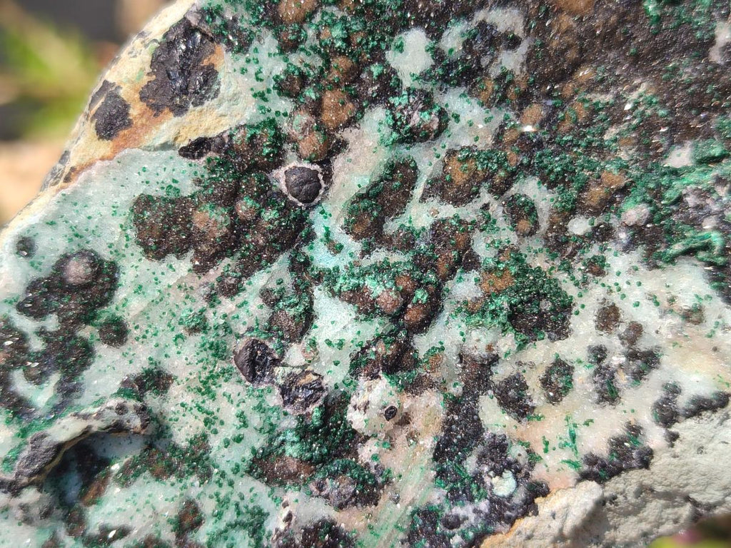 Natural Drusy Coated Chrysocolla Specimens with Malachite and Heterogenite on Dolomite Matrix x 3 From Kakanda, Congo - Toprock Gemstones and Minerals 