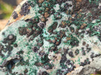Natural Drusy Coated Chrysocolla Specimens with Malachite and Heterogenite on Dolomite Matrix x 3 From Kakanda, Congo - Toprock Gemstones and Minerals 