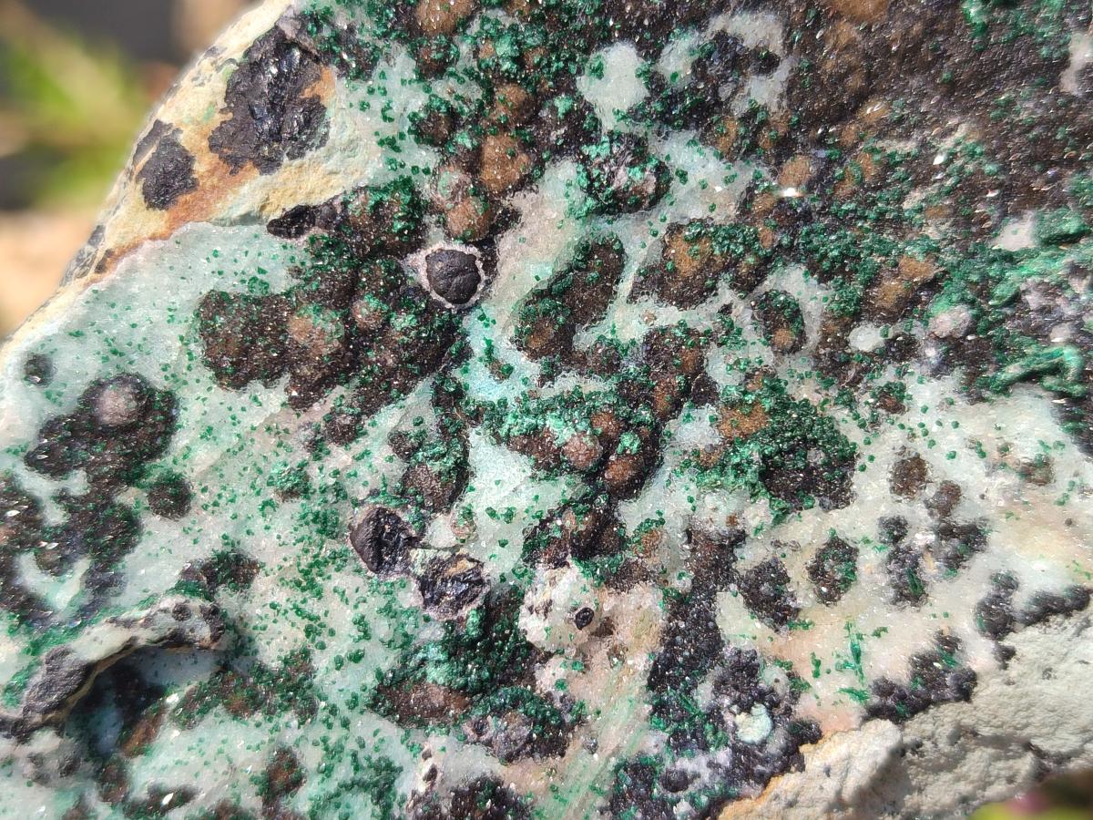 Natural Drusy Coated Chrysocolla Specimens with Malachite and Heterogenite on Dolomite Matrix x 3 From Kakanda, Congo - Toprock Gemstones and Minerals 