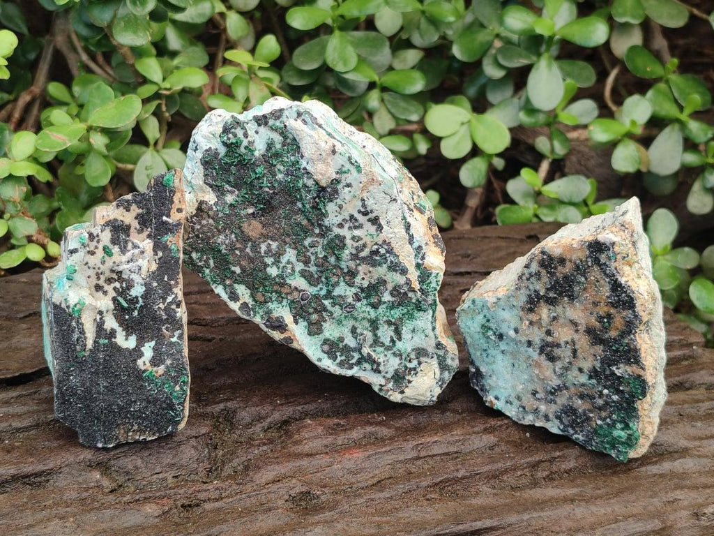 Natural Drusy Coated Chrysocolla Specimens with Malachite and Heterogenite on Dolomite Matrix x 3 From Kakanda, Congo - Toprock Gemstones and Minerals 