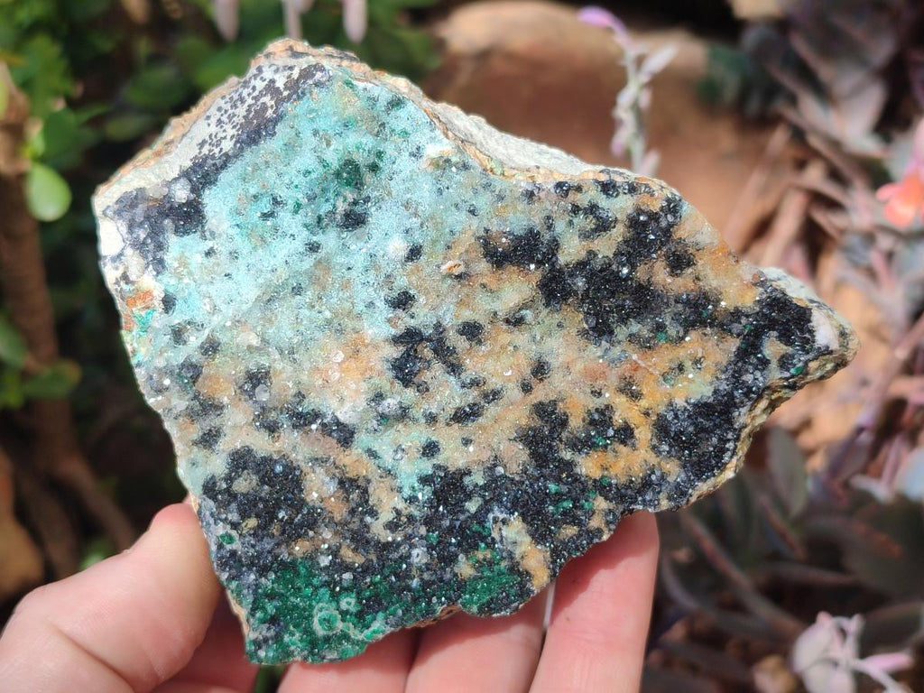 Natural Drusy Coated Chrysocolla Specimens with Malachite and Heterogenite on Dolomite Matrix x 3 From Kakanda, Congo - Toprock Gemstones and Minerals 
