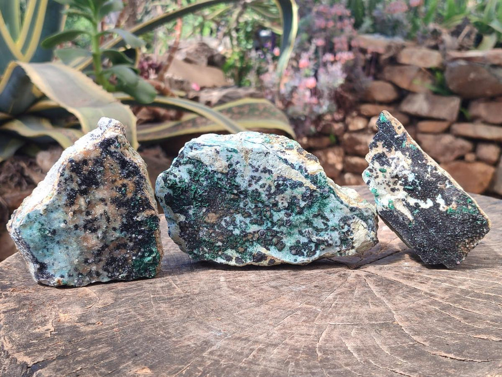 Natural Drusy Coated Chrysocolla Specimens with Malachite and Heterogenite on Dolomite Matrix x 3 From Kakanda, Congo - Toprock Gemstones and Minerals 