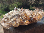 Natural Large Smokey Quartz Cluster with Hyalite Opal x 1 From Erongo, Namibia - Toprock Gemstones and Minerals 